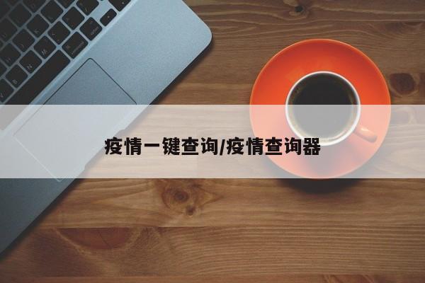 疫情一键查询／疫情查询器