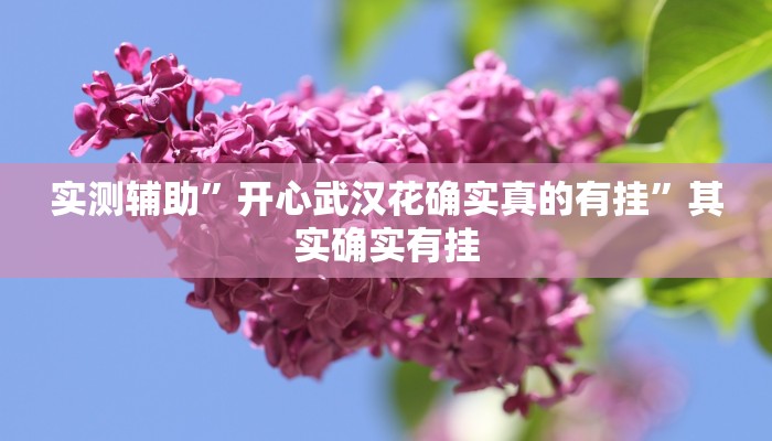 辅助神器“新道游大厅透视挂”开挂详细教程