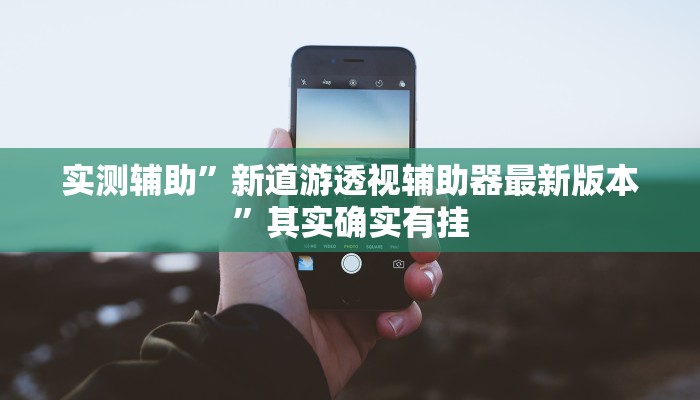 实测辅助”新道游透视辅助器最新版本”其实确实有挂