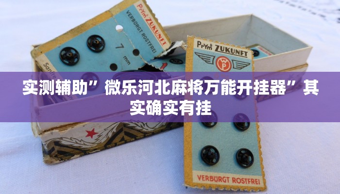 实测辅助”微乐河北麻将万能开挂器”其实确实有挂