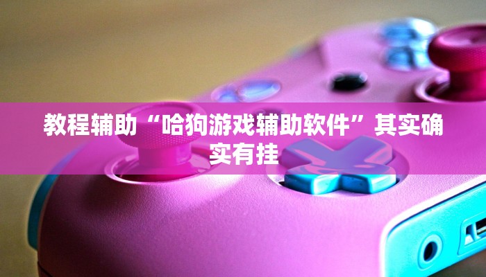 教程辅助“哈狗游戏辅助软件”其实确实有挂